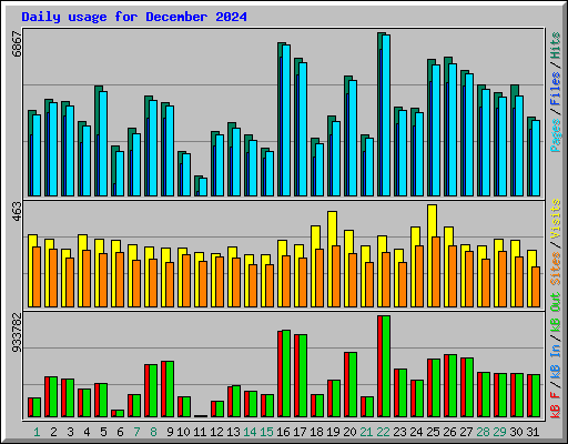 Daily usage for December 2024