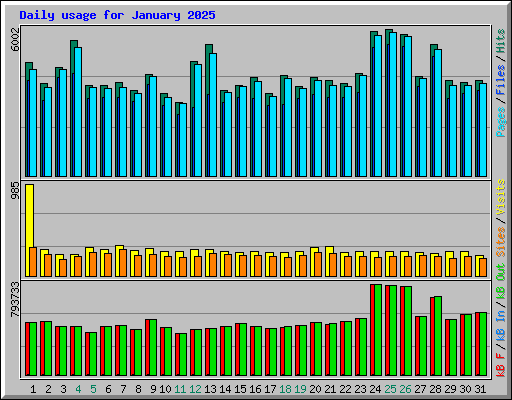 Daily usage for January 2025
