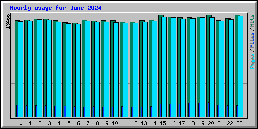Hourly usage for June 2024