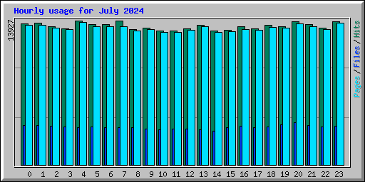 Hourly usage for July 2024