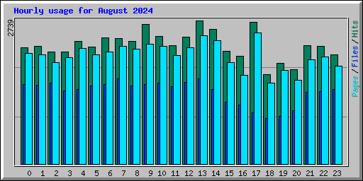 Hourly usage for August 2024