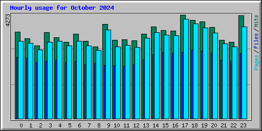 Hourly usage for October 2024