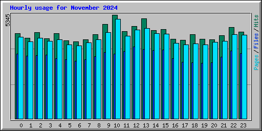 Hourly usage for November 2024