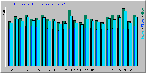 Hourly usage for December 2024