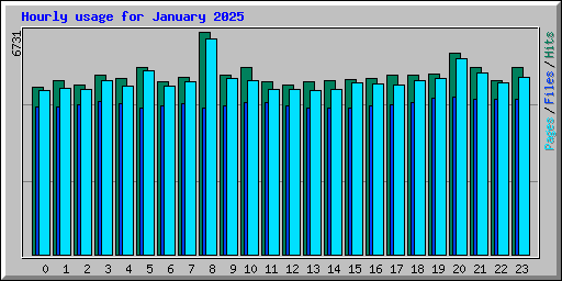 Hourly usage for January 2025