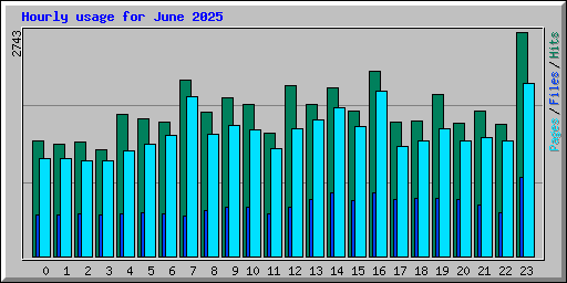Hourly usage for June 2025