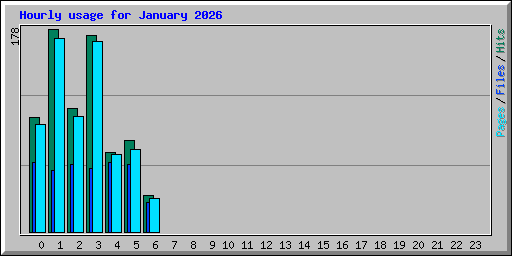 Hourly usage for January 2026