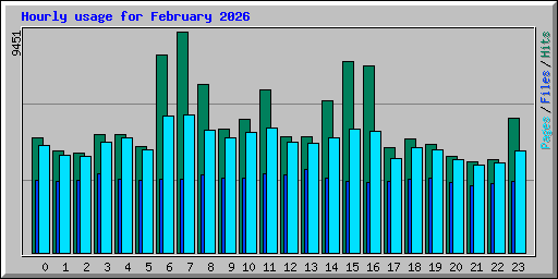 Hourly usage for February 2026