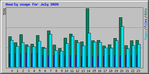 Hourly usage for July 2026