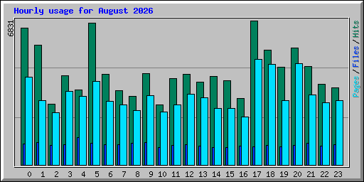 Hourly usage for August 2026